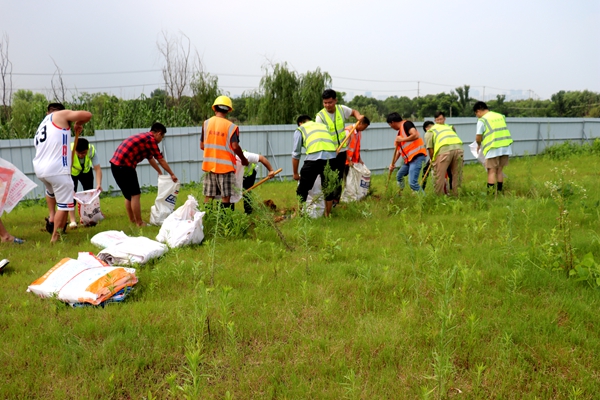 1596072007704513.jpg 圖片3.jpg