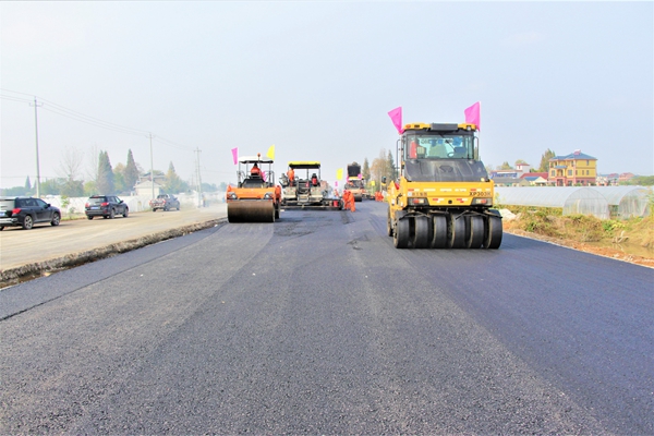 1605860790969520.jpg IMG_4256.JPG